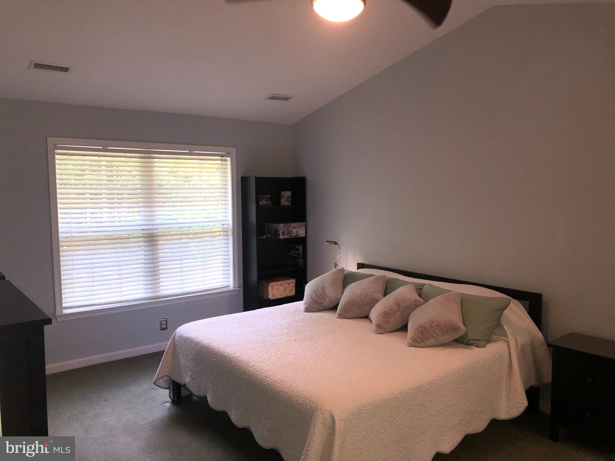 4575 Courtneys Corner Road Sumerduck, VA 22742 - Photo 61 of 145 Vaulted Ceiling in Primary Bedroom