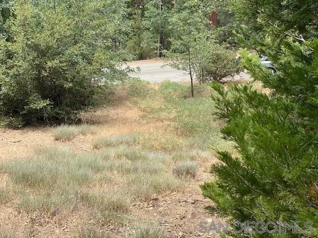 0 Laurel Trail, Unit 7 Idyllwild, CA 92549 - Photo 4 of 6 a view of a yard with a tree