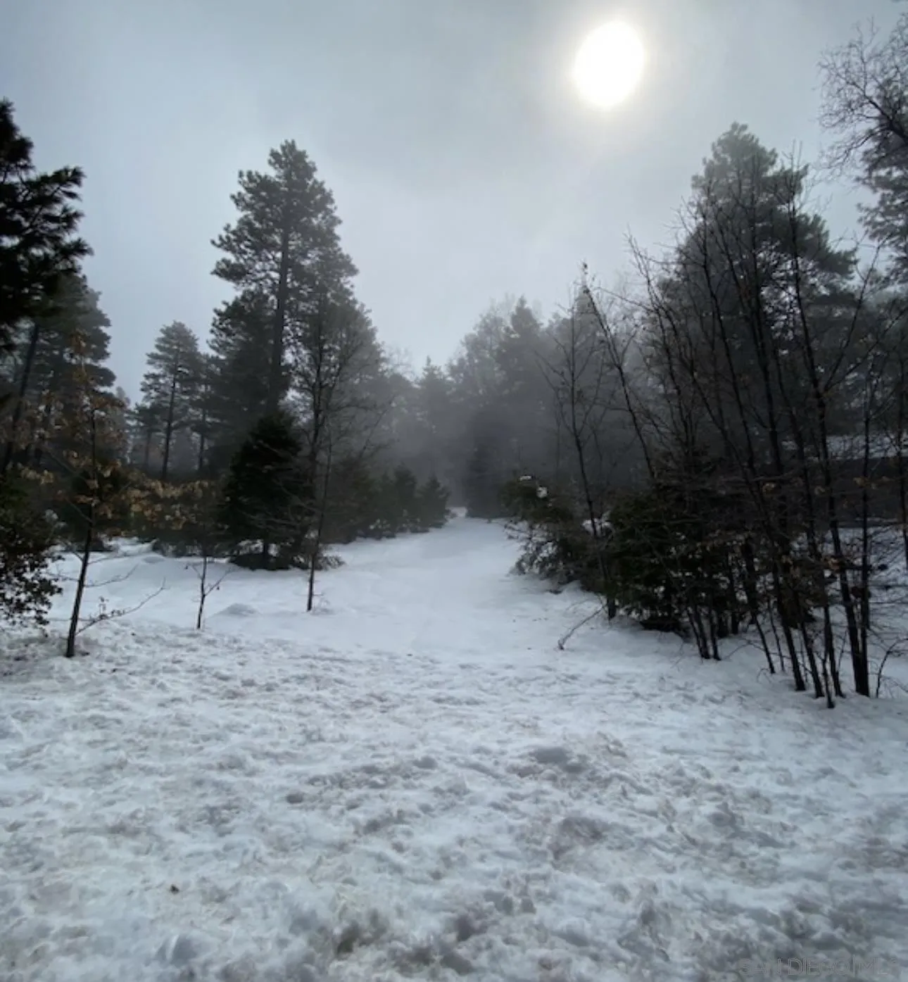 0 Laurel Trail, Unit 7 Idyllwild, CA 92549 - Photo 5 of 6 a view of outdoor space with trees
