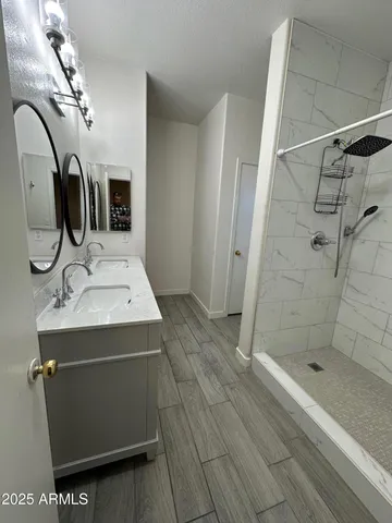 a bathroom with a sink a vanity and shower