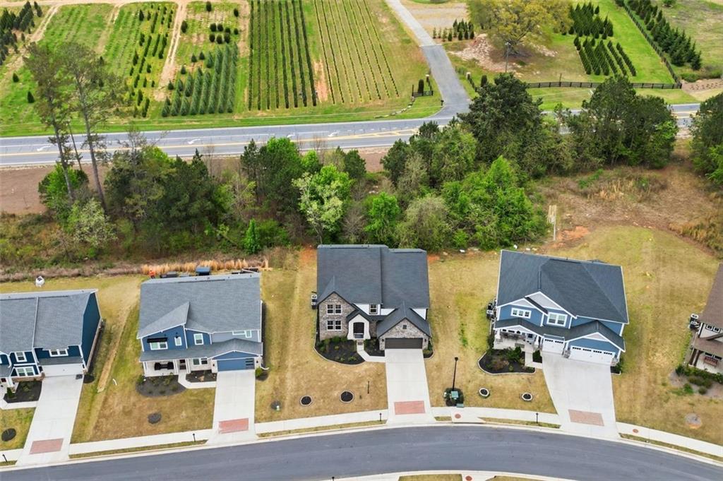 8150 Scenic Ridge Way Ball Ground, GA 30107 - Photo 32 of 64