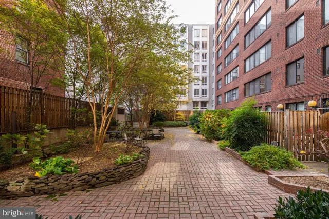 a view of a pathway with a yard