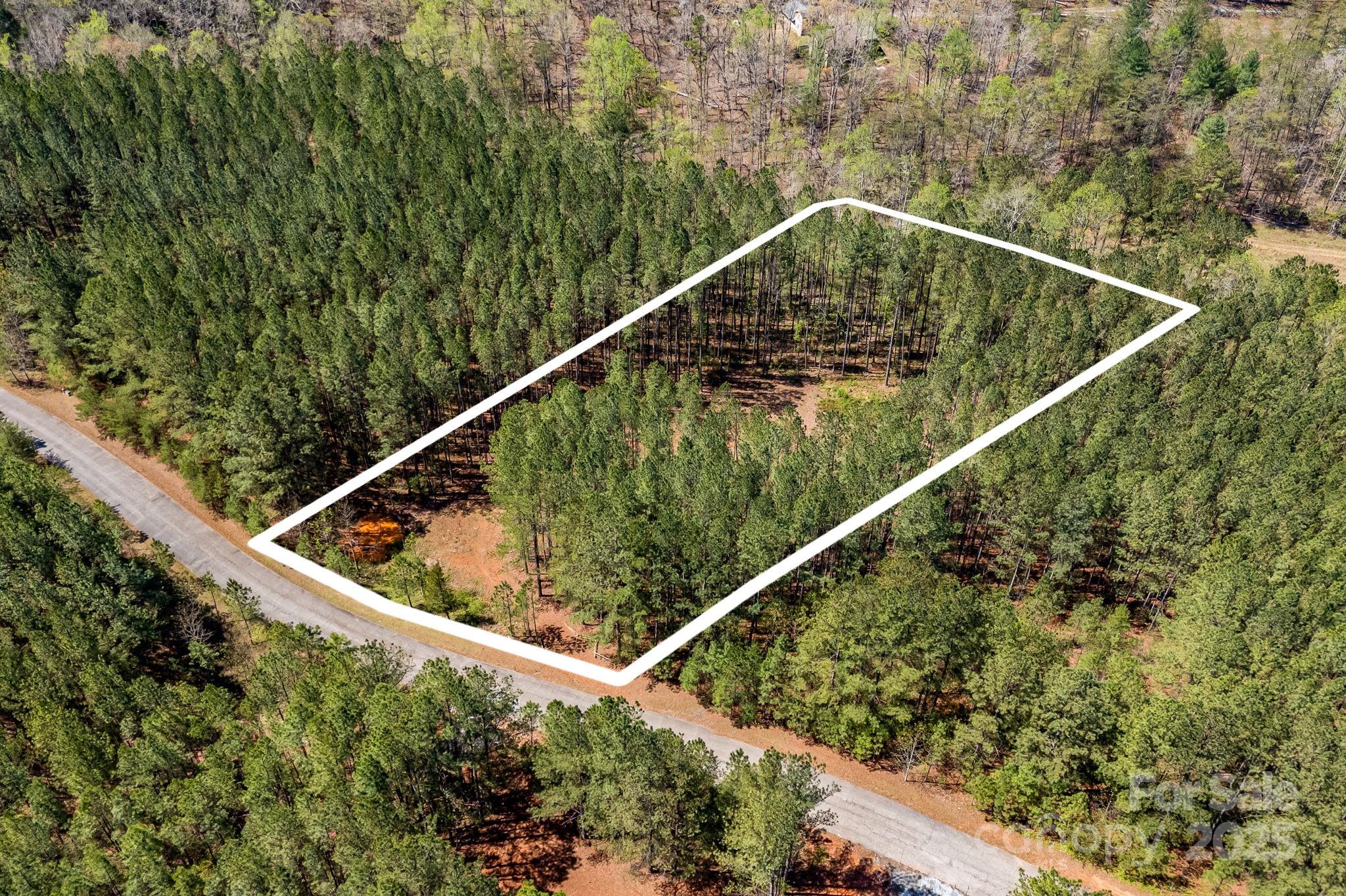19 Sunset Drive, Unit 19 Mill Spring, NC 28756 - Photo 3 of 23