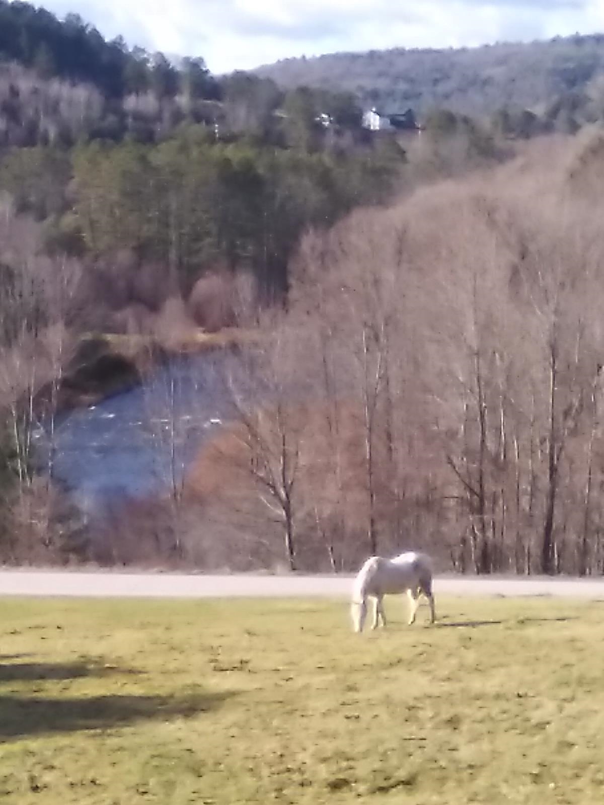 72 Wood Road Hartford, VT 05059 - Photo 3 of 4