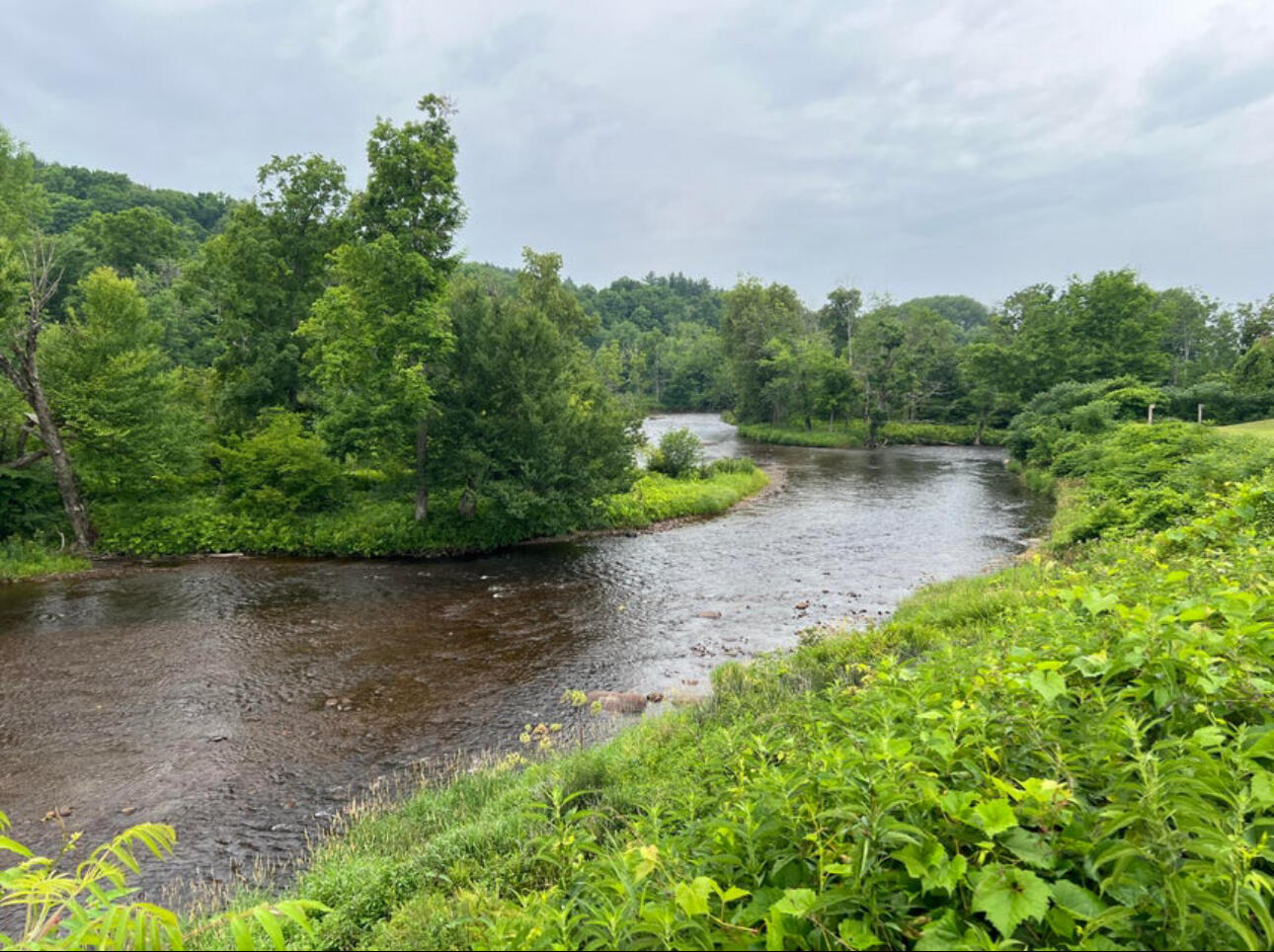 0 River Road Malone, NY 12953 - Photo 8 of 12 IMG_0508