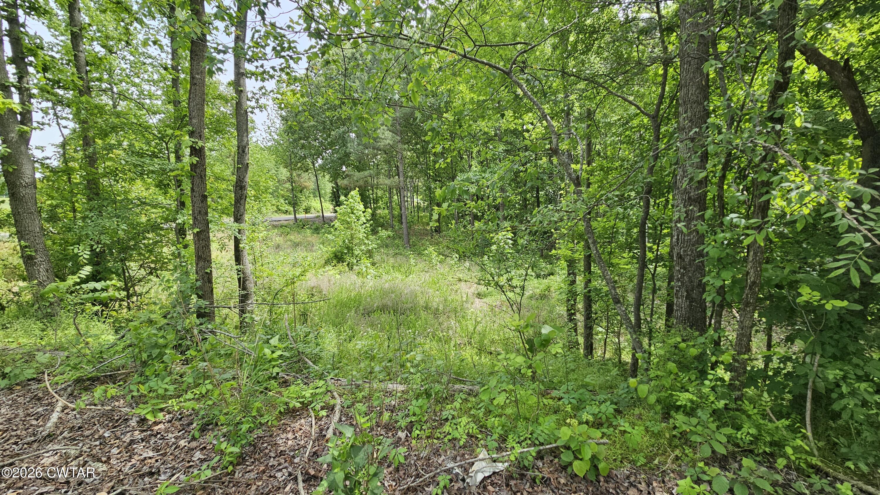 104 Sidney Baird Road Bradford, TN 38316 - Photo 1 of 10 a view of a lush green forest