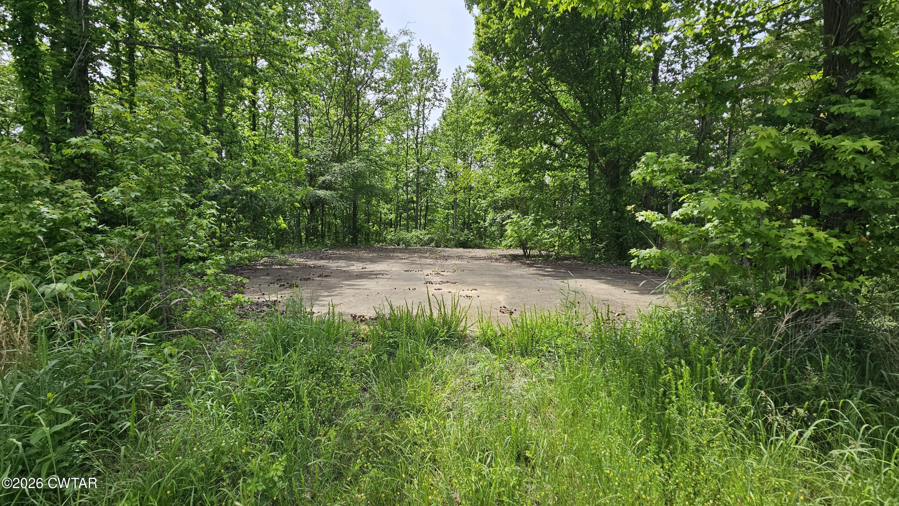 104 Sidney Baird Road Bradford, TN 38316 - Photo 3 of 10 a view of green field with trees in the background