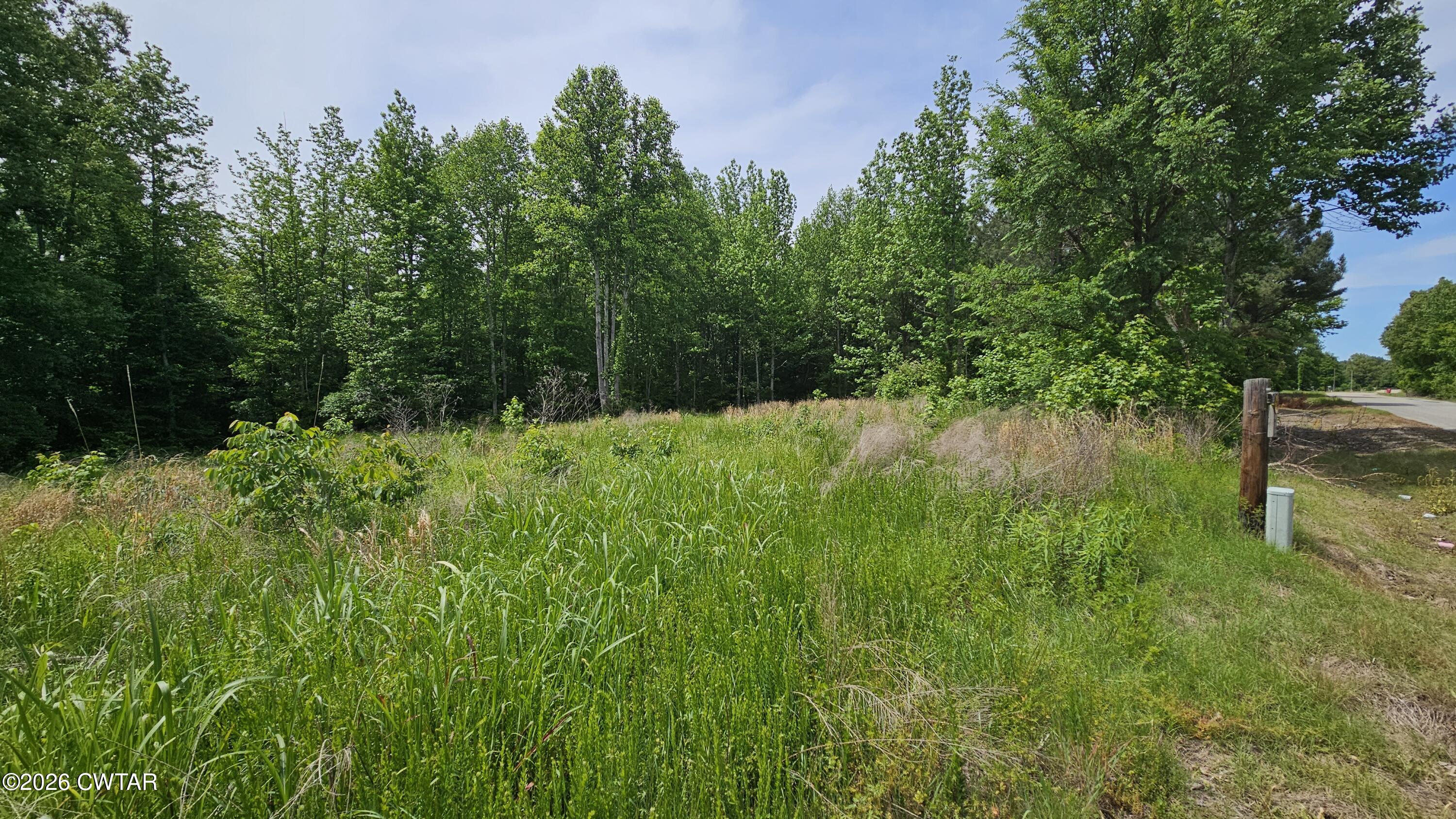 104 Sidney Baird Road Bradford, TN 38316 - Photo 4 of 10 a backyard of a house with lots of green space