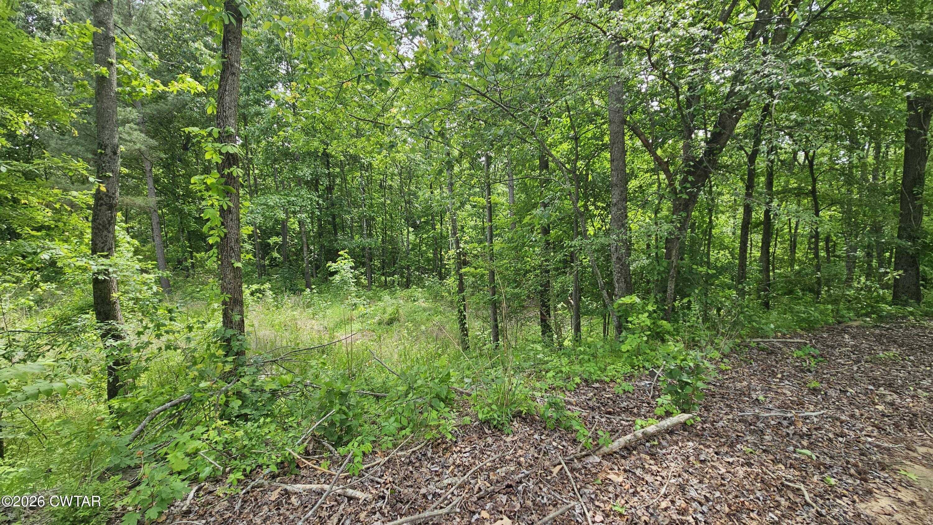 104 Sidney Baird Road Bradford, TN 38316 - Photo 5 of 10 a backyard of a house with lots of green space