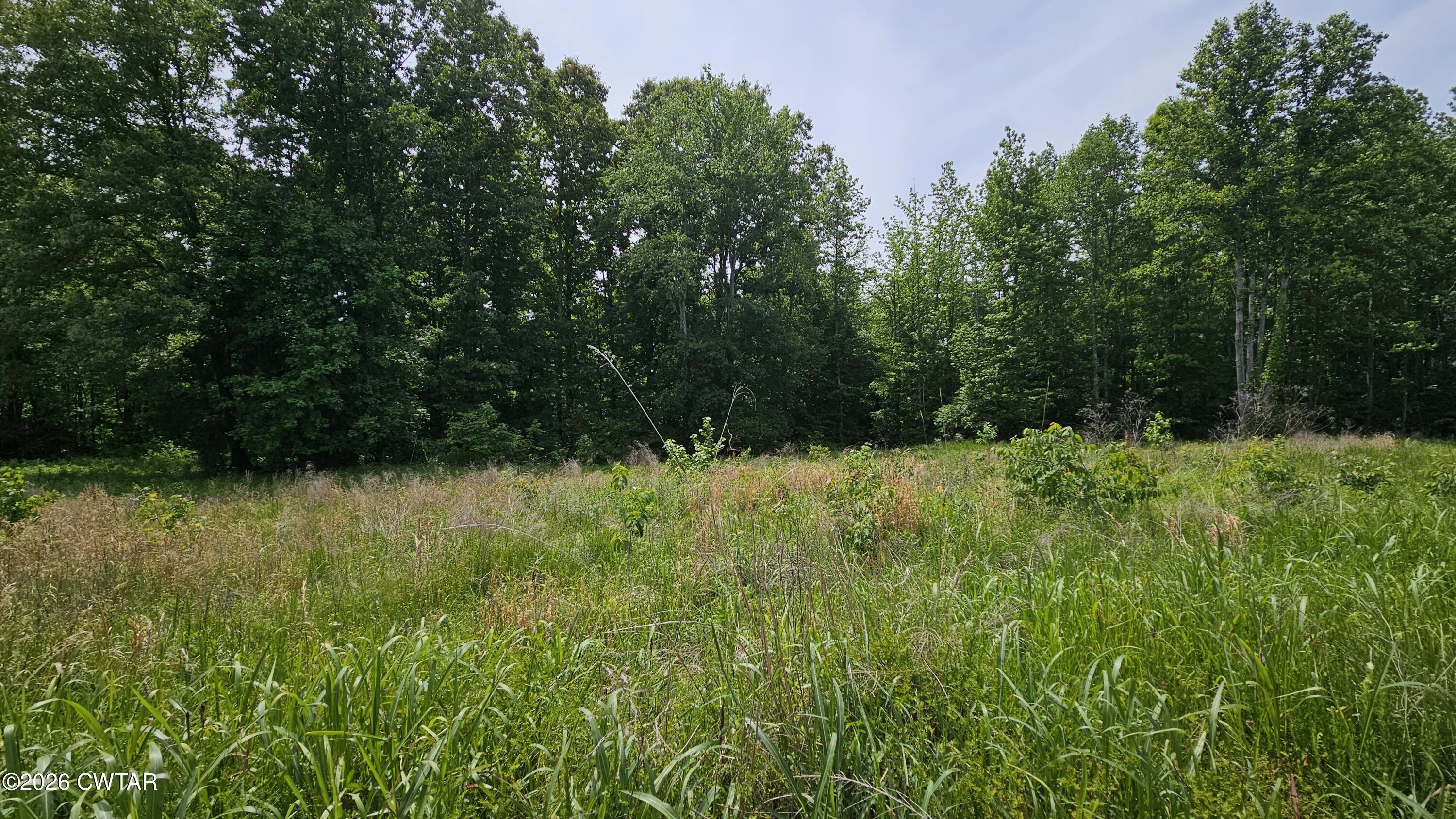 104 Sidney Baird Road Bradford, TN 38316 - Photo 6 of 10 a view of outdoor space and yard