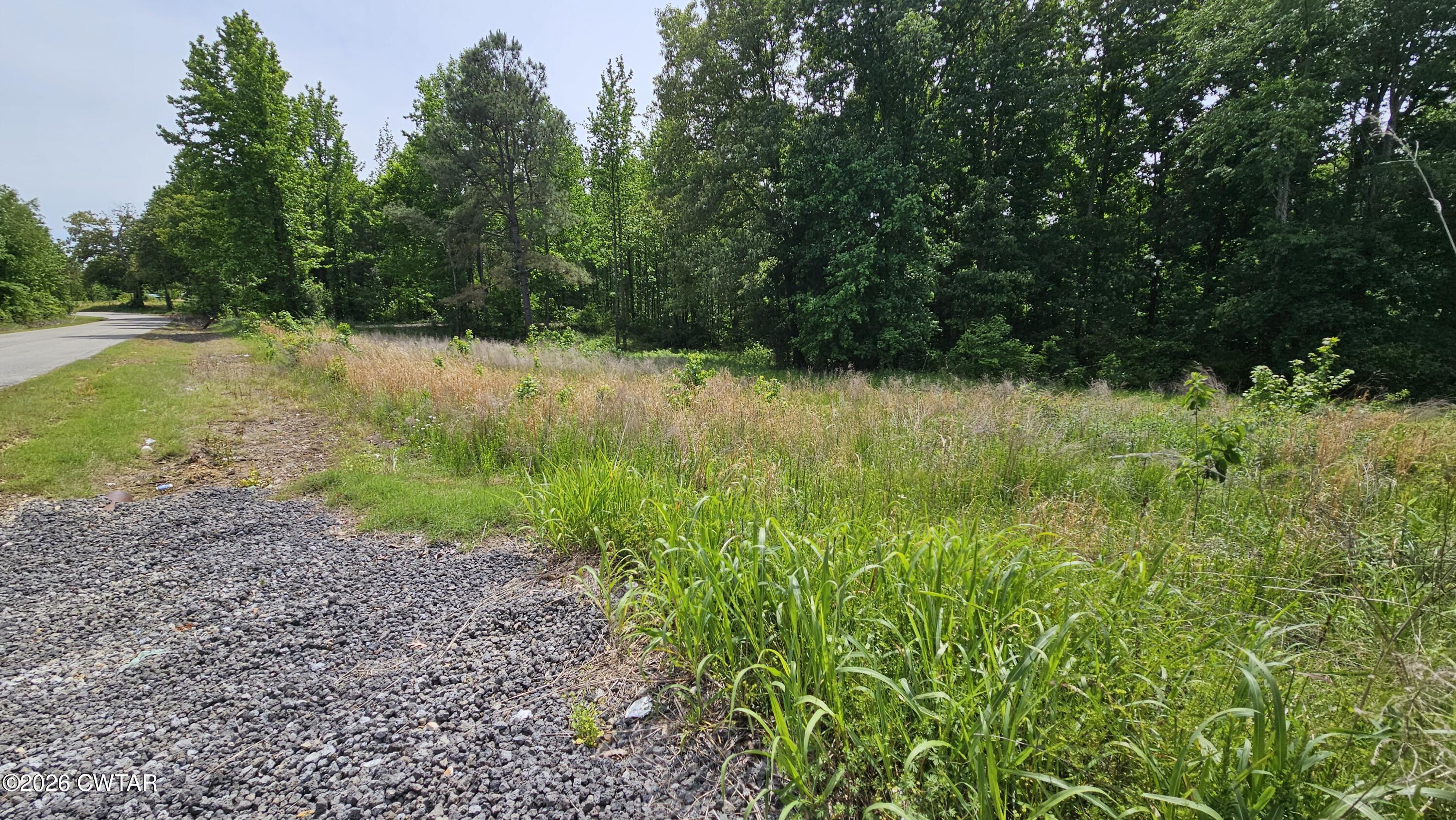104 Sidney Baird Road Bradford, TN 38316 - Photo 9 of 10 a view of a garden with a lake