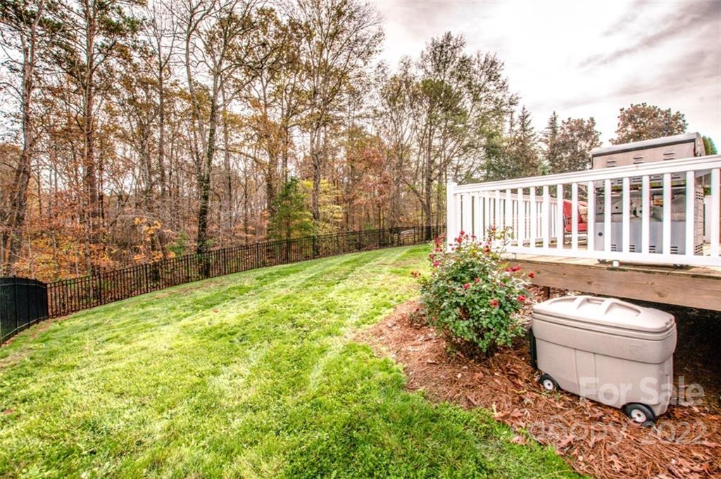 146 Princess Loop Troutman, NC 28166 - Photo 38 of 41 Gallery Image 38