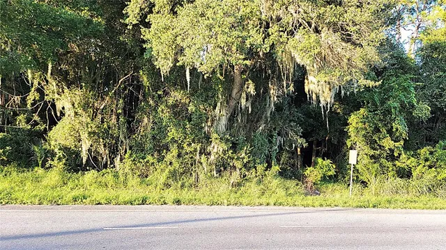 a view of yard with swimming pool and green space
