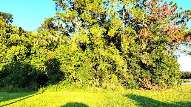 $69,900 | Tbd Palm Drive, Yalaha, FL 34797