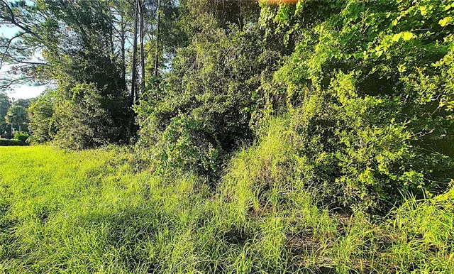 $69,900 | Tbd Palm Drive, Yalaha, FL 34797