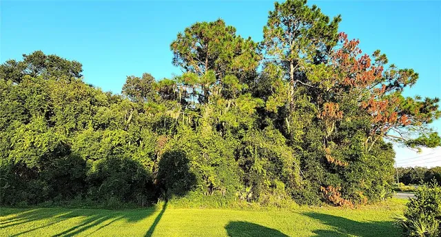 $69,900 | Tbd Palm Drive, Yalaha, FL 34797