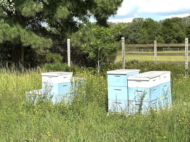 a view of a back yard