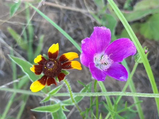 a view of a staircase