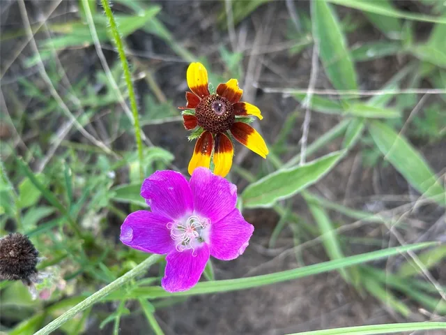 a view of a swimming pool and an outdoor seating