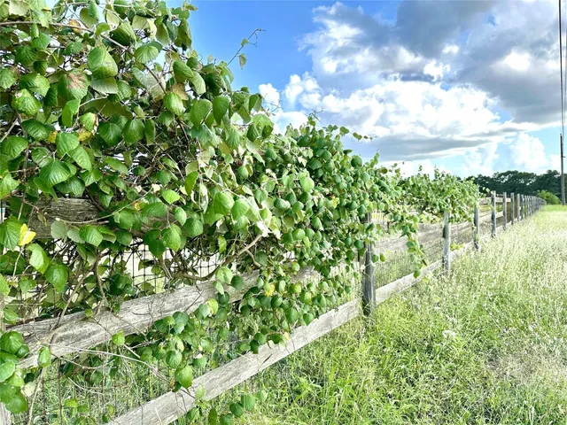 $255,000 | Tbd Homestead Circle, Paige, TX 78659