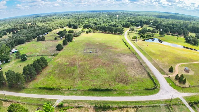 a view of a swimming pool with a yard and large trees