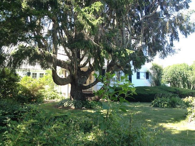 138 Third Avenue Hyannis, MA 02601 - Photo 20 of 27 a view of a garden with a tree