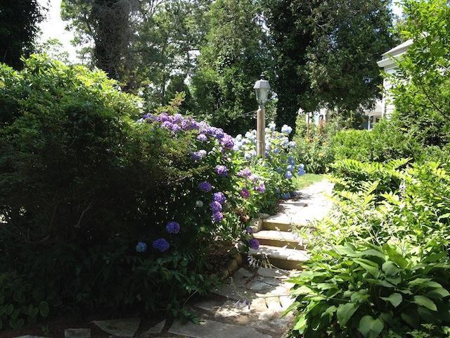 138 Third Avenue Hyannis, MA 02601 - Photo 22 of 27 a view of flowers in a garden