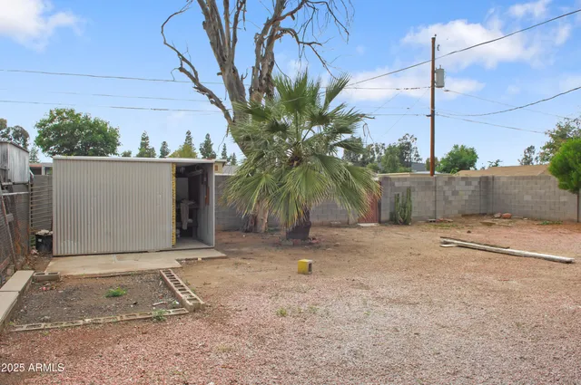 a potted plant is sitting in front of a house