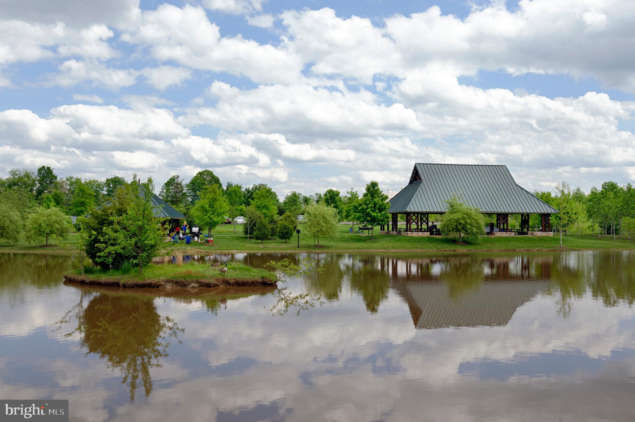4085 Zulla Road The Plains, VA 20198 - Photo 33 of 44 View across the ponds in the park