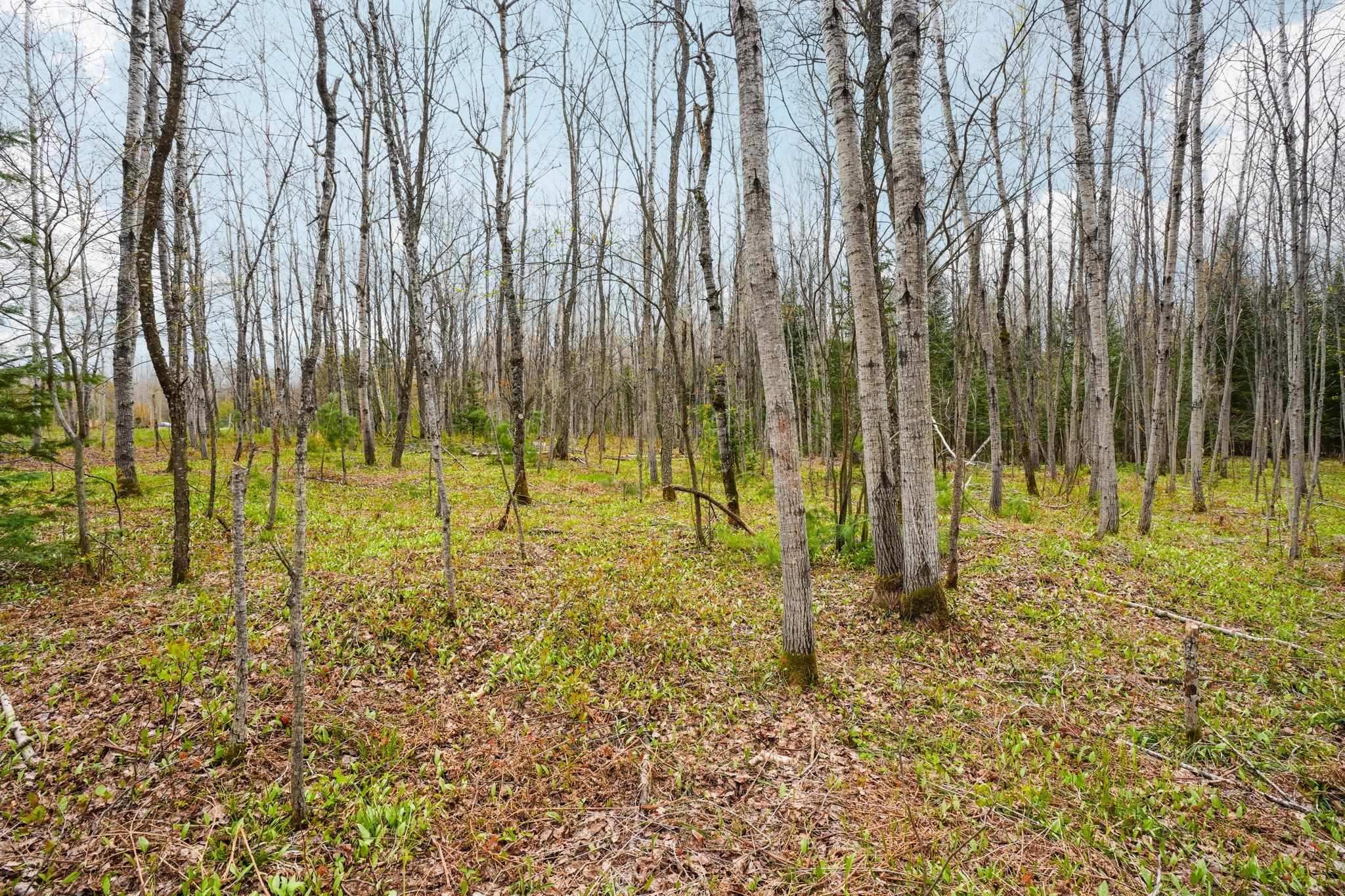 3976 Irvin Road Kingsley, MI 49649 - Photo 63 of 68