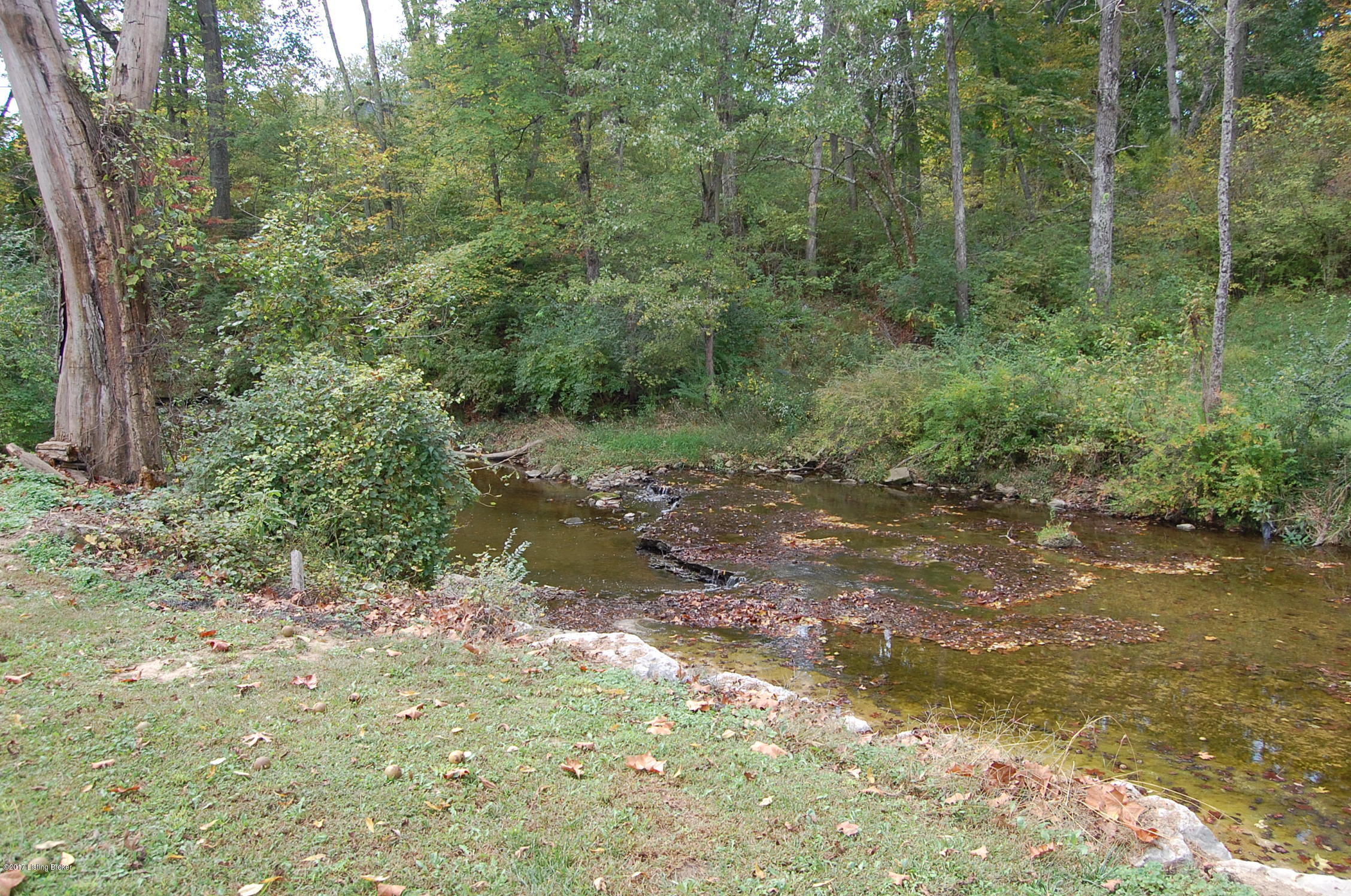 4108 Chenoweth Run Road Louisville, KY 40299 - Photo 7 of 59 DSC_0954