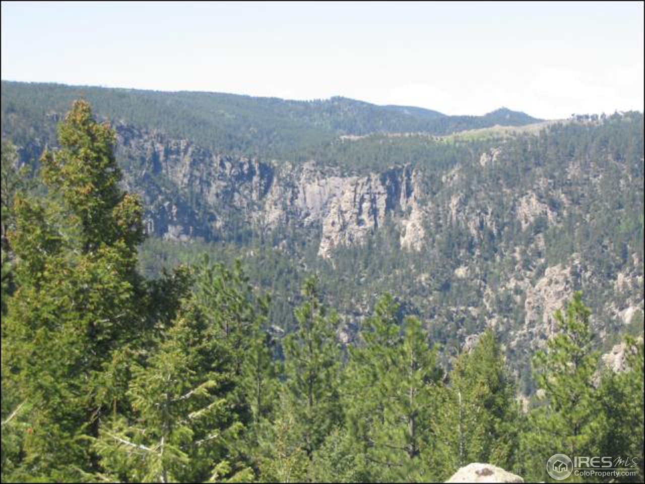 63 Good Friday Road Boulder, CO 80302 - Photo 9 of 12 a view of a forest with a mountain in the background
