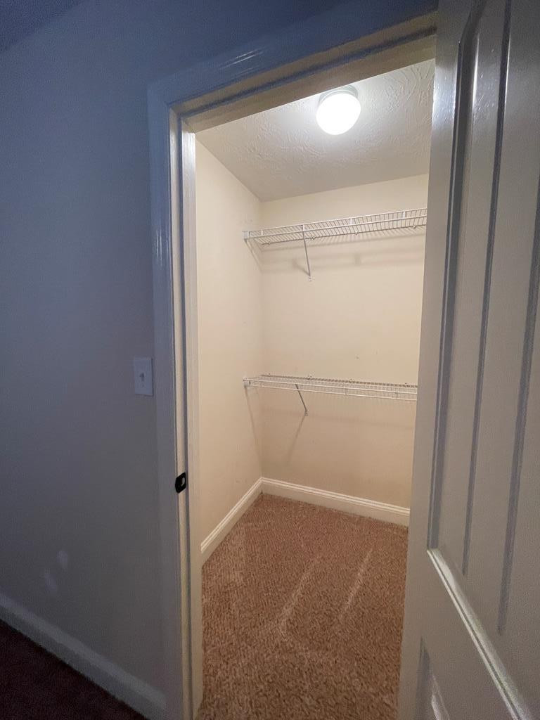 465 Riley Lane Grovetown, GA 30813 - Photo 36 of 59 Bedroom #1 closet