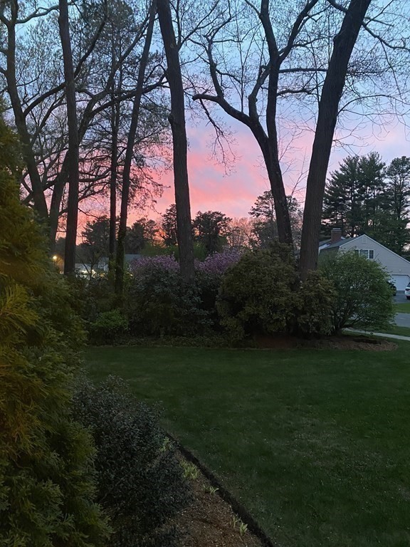 61 Salem Road Longmeadow, MA 01106 - Photo 39 of 39 Gallery Image 39