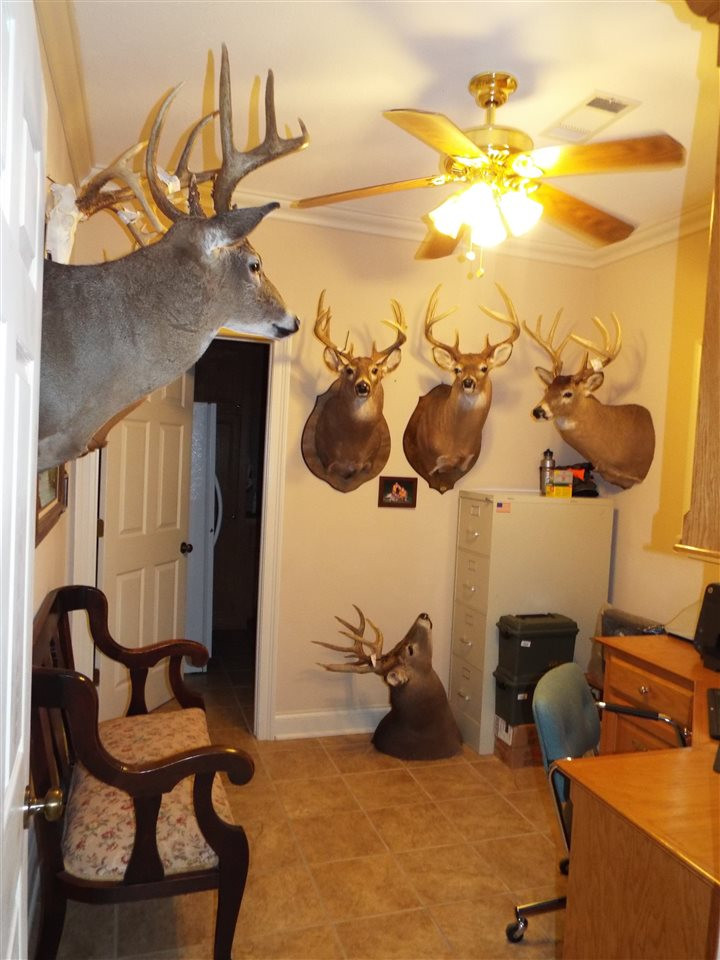 200 Dominion Circle Brandon, MS 39042 - Photo 21 of 44 Photo 21