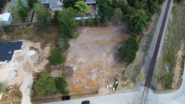 a view of a yard with plants and large trees