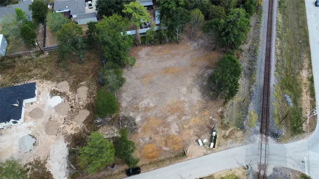 a view of a yard with plants and large trees