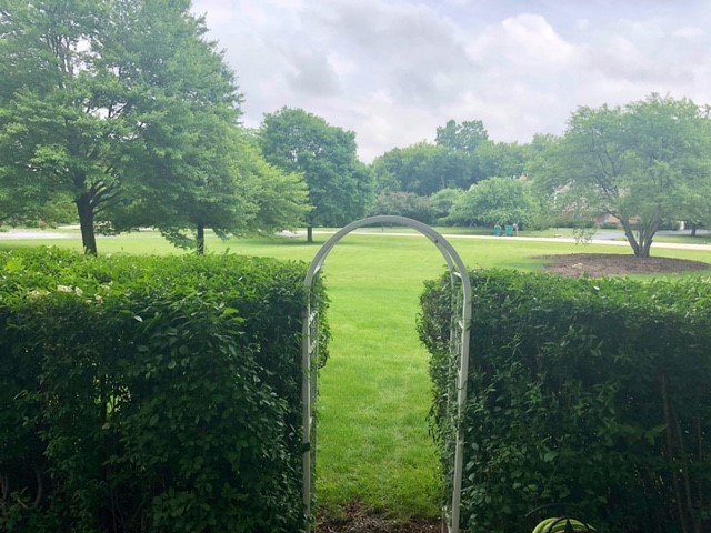 20755 North Weatherstone Road Kildeer, IL 60047 - Photo 43 of 61 a view of a swimming pool with a yard and large trees