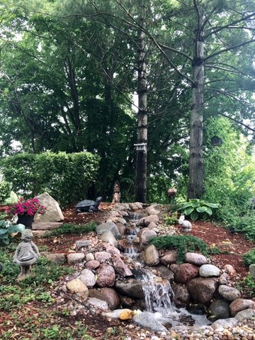 20755 North Weatherstone Road Kildeer, IL 60047 - Photo 47 of 61 a view of a tree with a yard