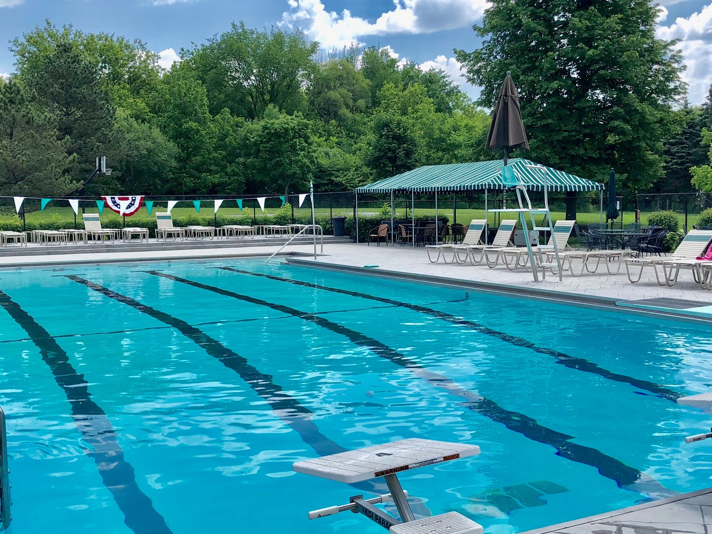 20755 North Weatherstone Road Kildeer, IL 60047 - Photo 59 of 61 a view of a swimming pool with an outdoor seating