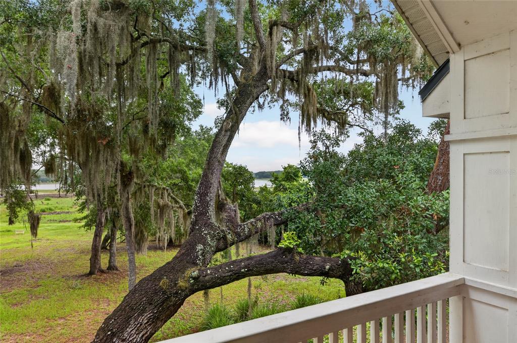 104 Long Pond Way Hawthorne, FL 32640 - Photo 42 of 76
