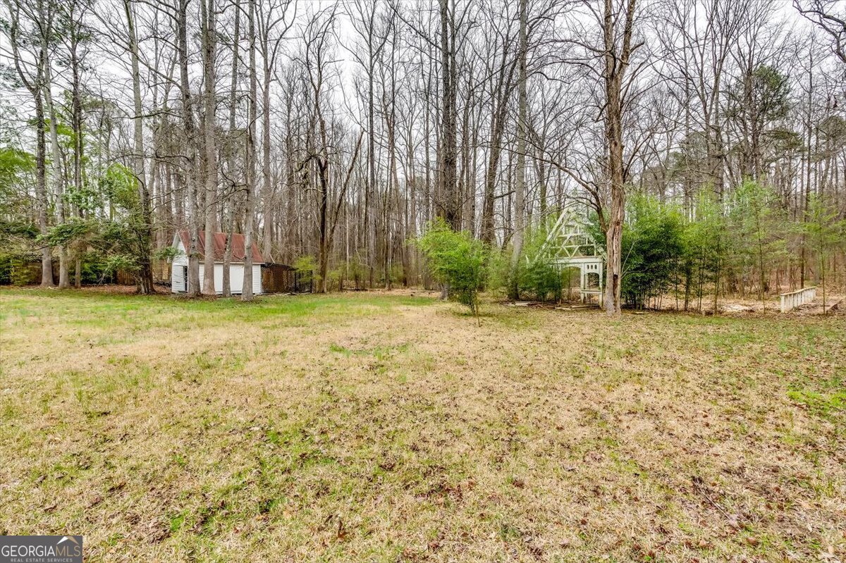 193 South Kite Lake Road Fayetteville, GA 30214 - Photo 45 of 46