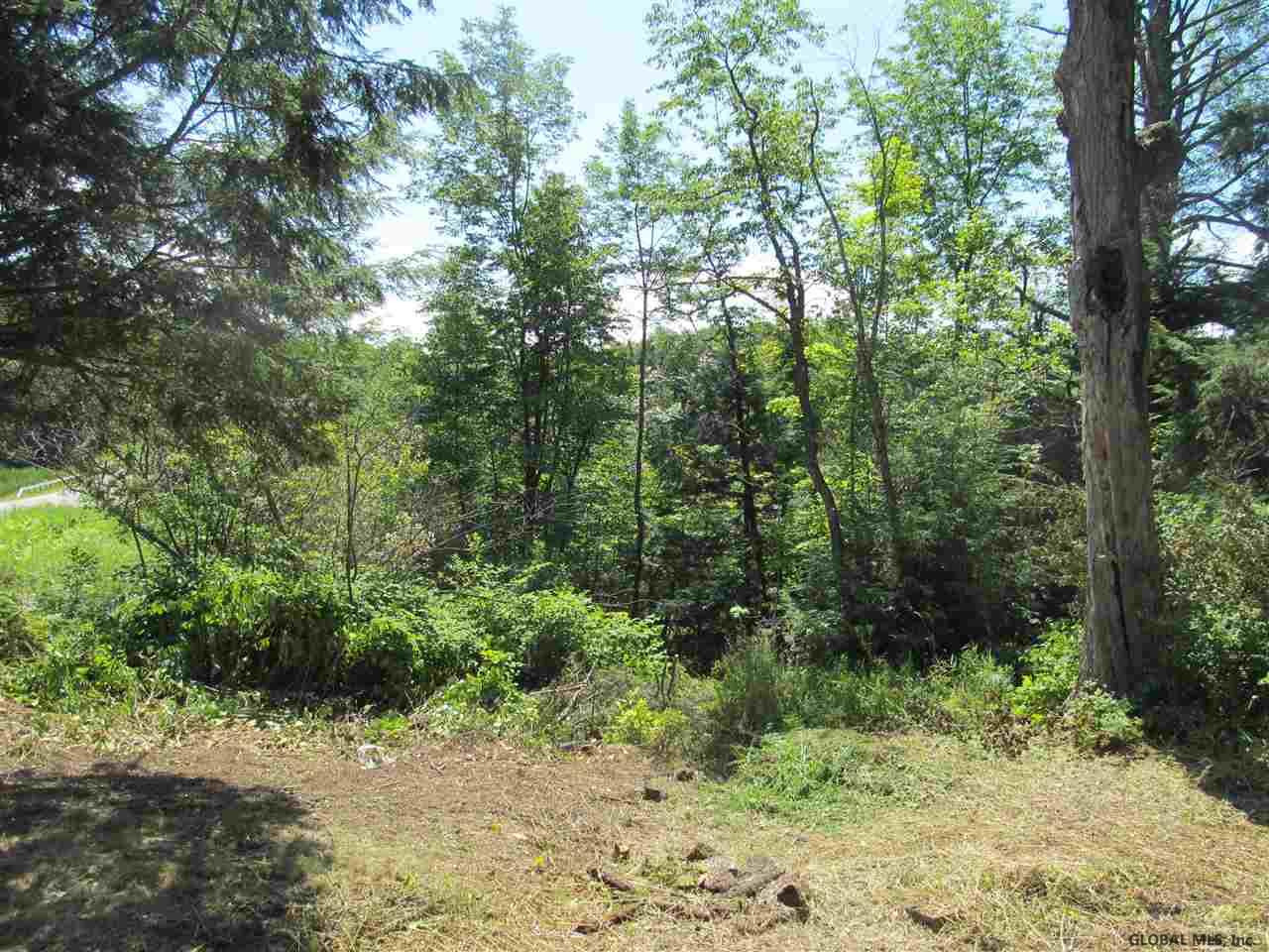 474 Lake Desolation Road Middle Grove, NY 12850 - Photo 6 of 7 Photo 6