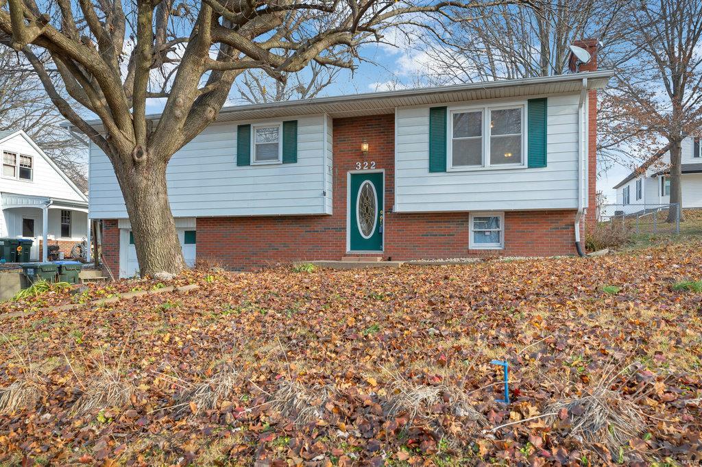 322 South Riebeling Street Columbia, IL 62236 - Photo 2 of 38