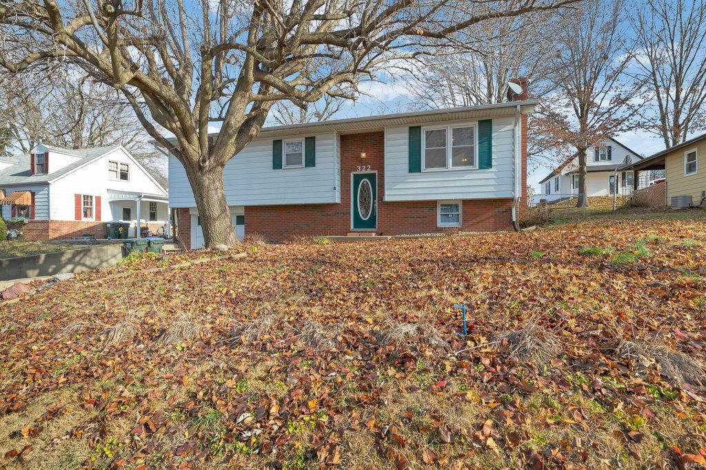 322 South Riebeling Street Columbia, IL 62236 - Photo 4 of 38