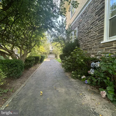 a view of a pathway with a tree