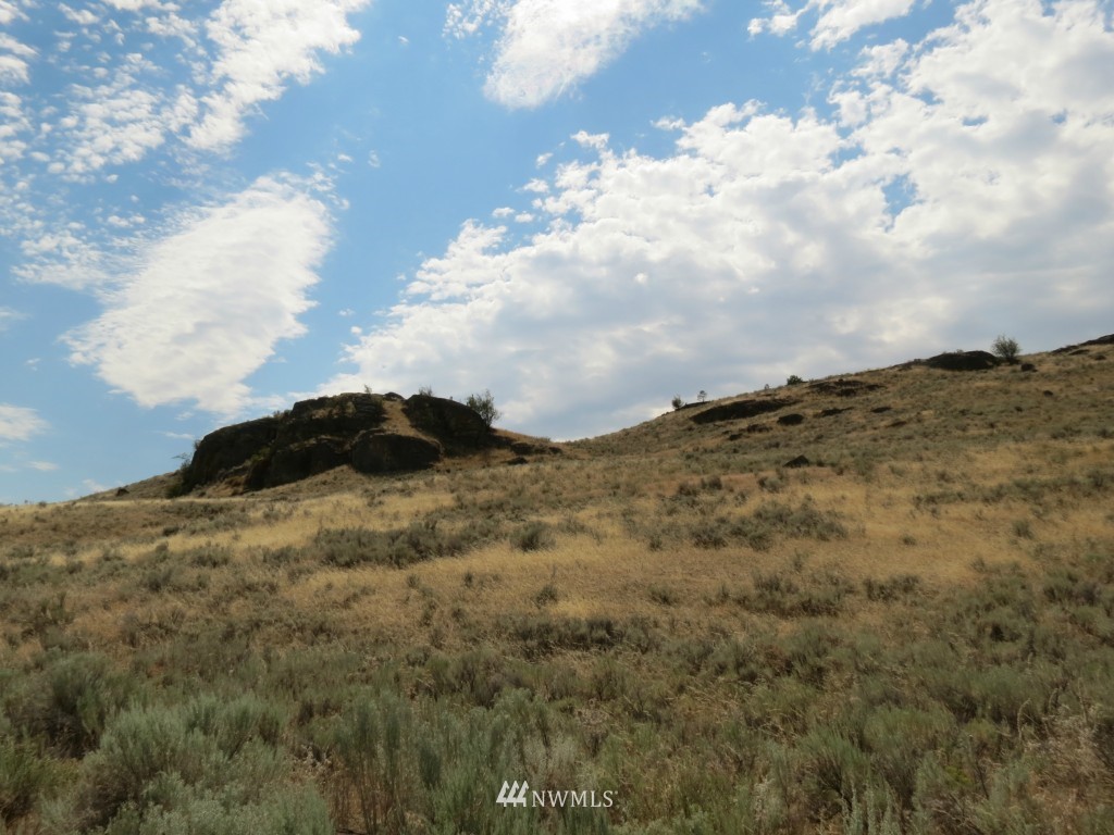 0 Antoine Breaks Road Tonasket, WA 98855 - Photo 4 of 7 Gallery Image 4