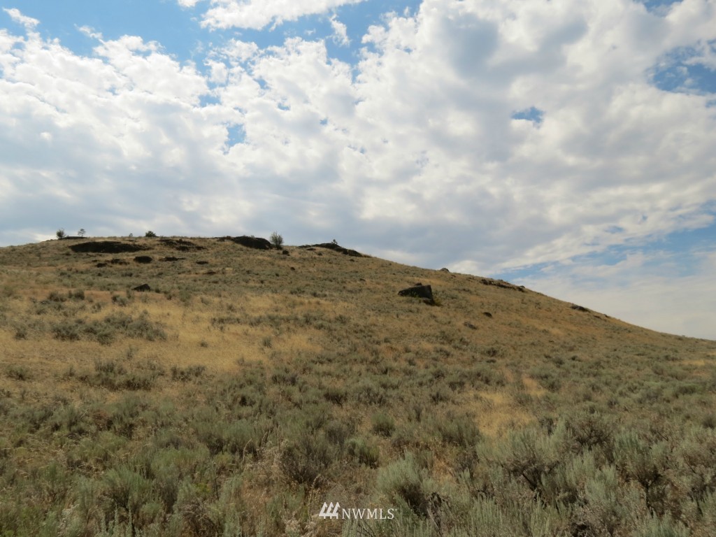 0 Antoine Breaks Road Tonasket, WA 98855 - Photo 6 of 7 Gallery Image 6