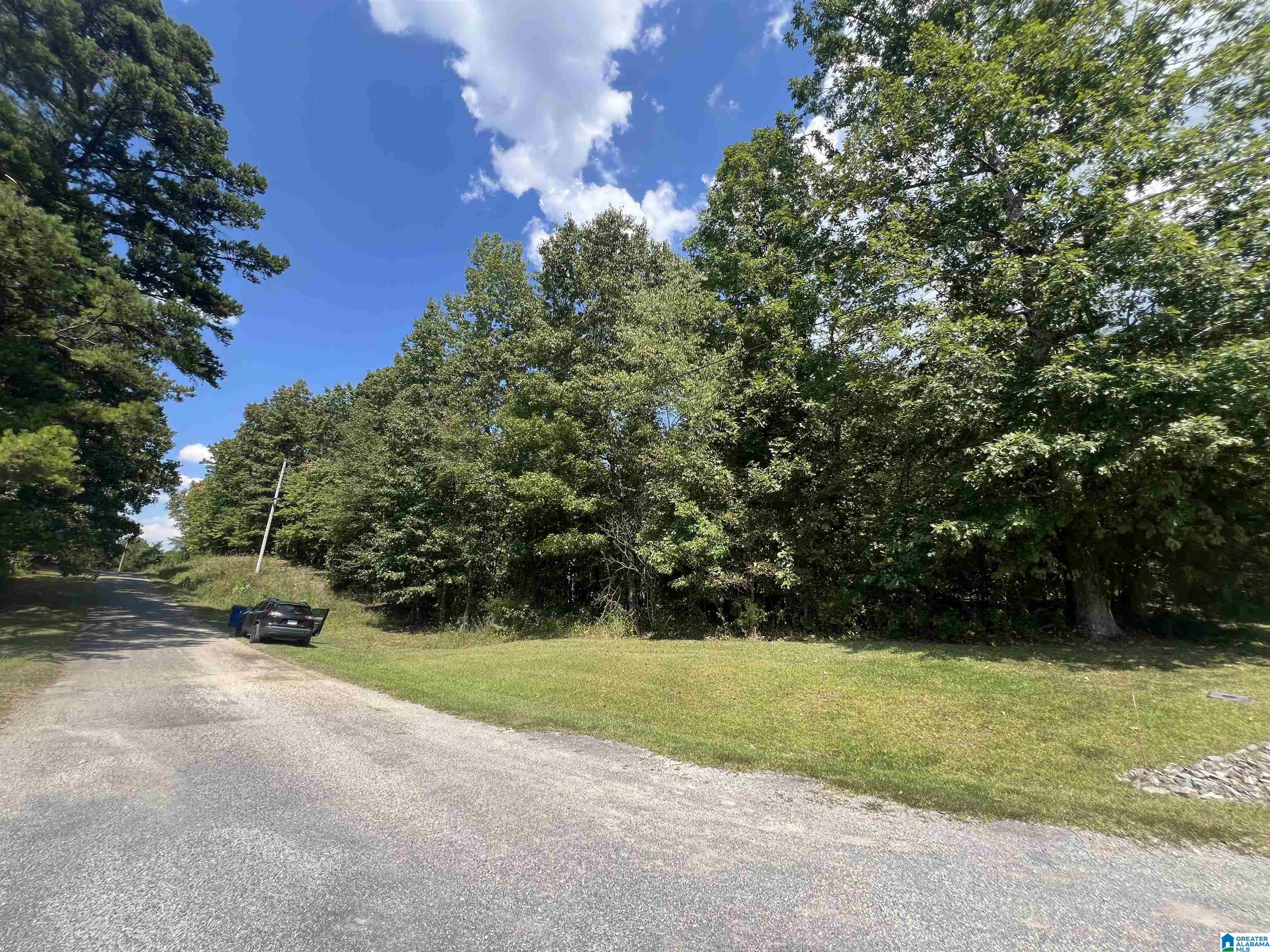 0 Taylor Road, Unit 10 2 Remlap, AL 35133 - Photo 7 of 25