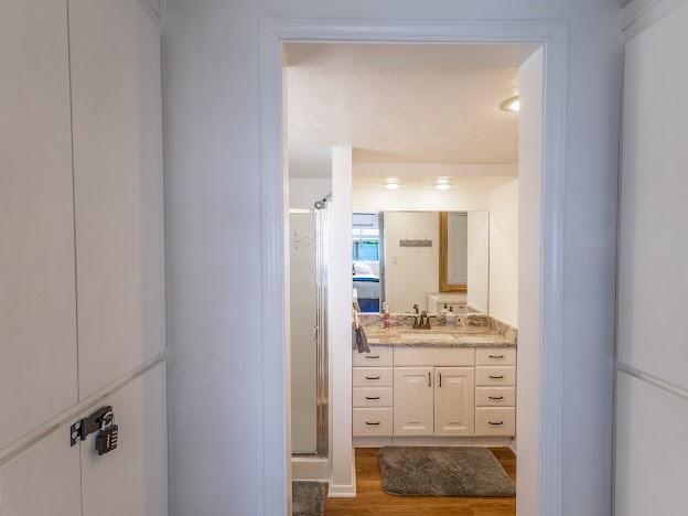 3817 Blue Fin Road Caddo, TX 76429 - Photo 26 of 40 a bathroom with a sink and mirror